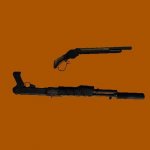 Akimbo Shotguns