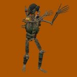 Soldiers Skeleton