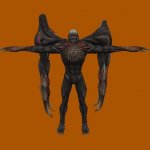 RE: TDC Birkin 3rd Form