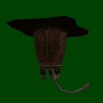 barnacle_sd