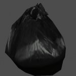bag2