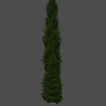 s_tree2