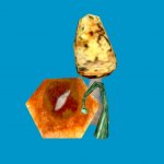 sta_fungal_growth_corner