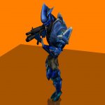 Halo Covenant