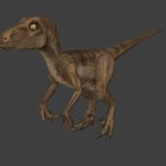 Raptor