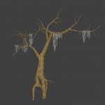 barrows_entrance_tree