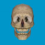 bt skull