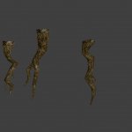 jn barrow roots md
