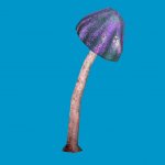 jn_blue_mushroom_big01