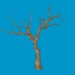 jn_eviltree_02