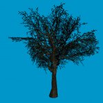jn_eviltree_02_02_bb