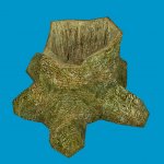 jn stump 04