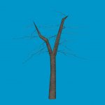 prop_tree_1