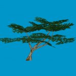 ot_tree06