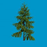 skybox_baum04