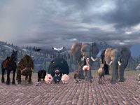 Animal Pack V1